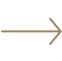 seta